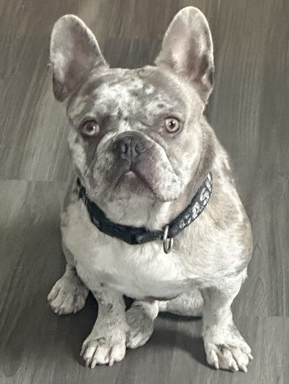 1625485A-1F61-4FA2-80AD-0974EE998994_1_105_c 1625485A 1F61 4FA2 80AD 0974EE998994 1 105 C Edited