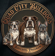 Quad City Bulldogs